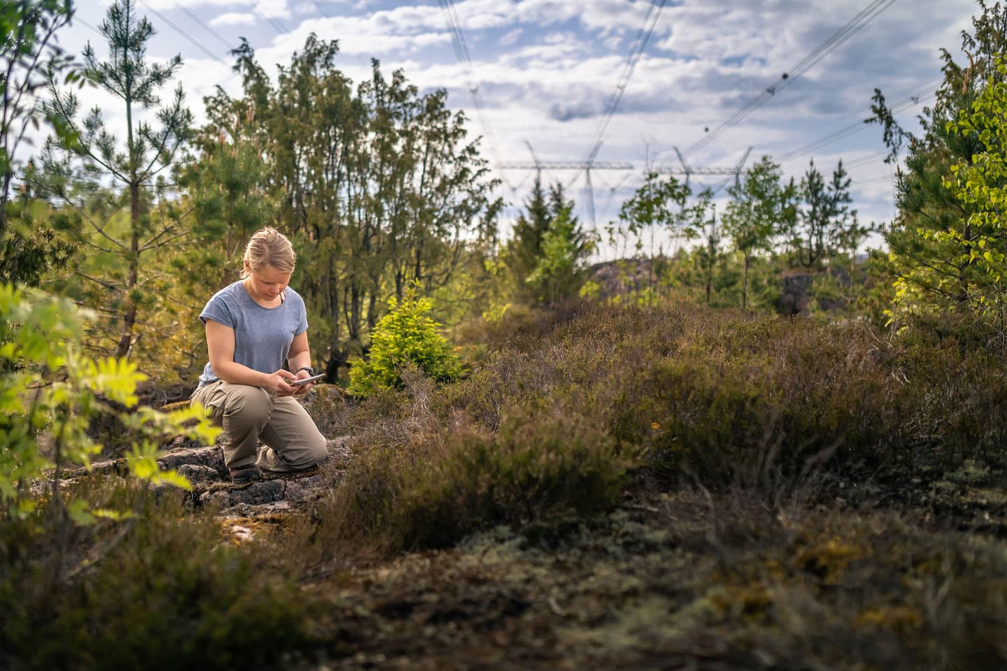 Person in blue shirt using mobile phone while sitting on rocks in a woodland area under cloudy sky with power lines.